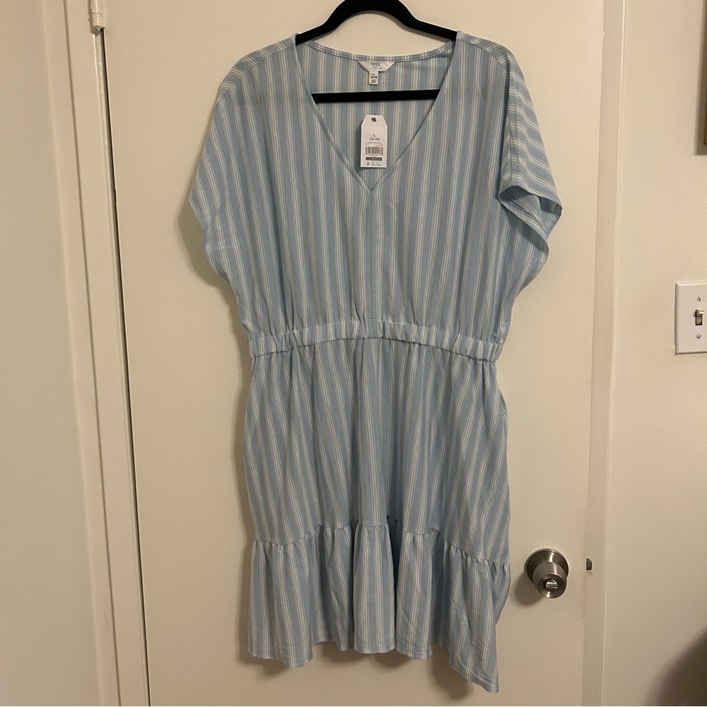 Time & Tru Light Blue and White Striped Dress